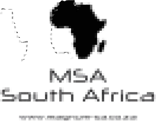 MSA Security Services